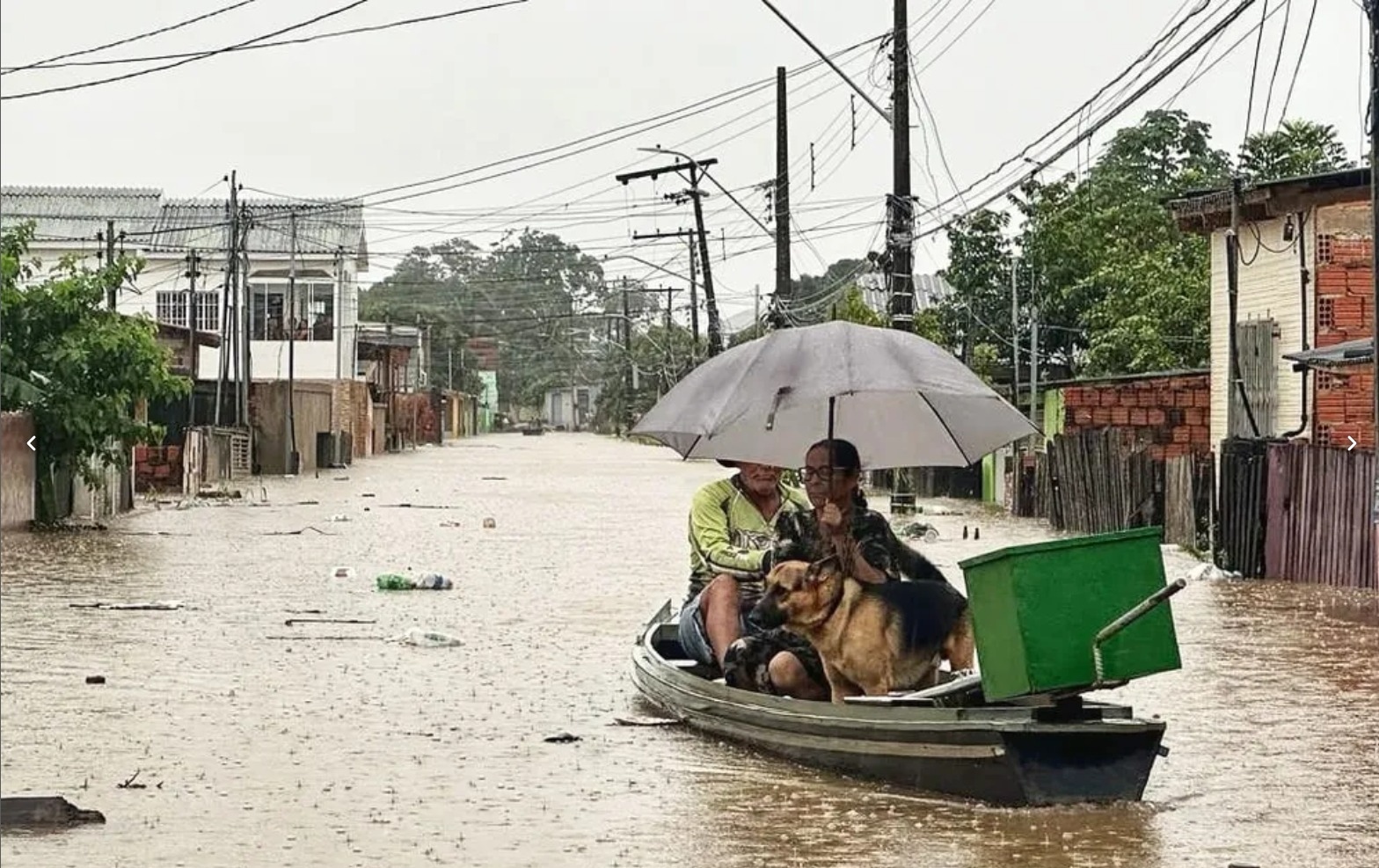 A imagem mostra um casal e um cachorro em um barco fugindo do alagamento.