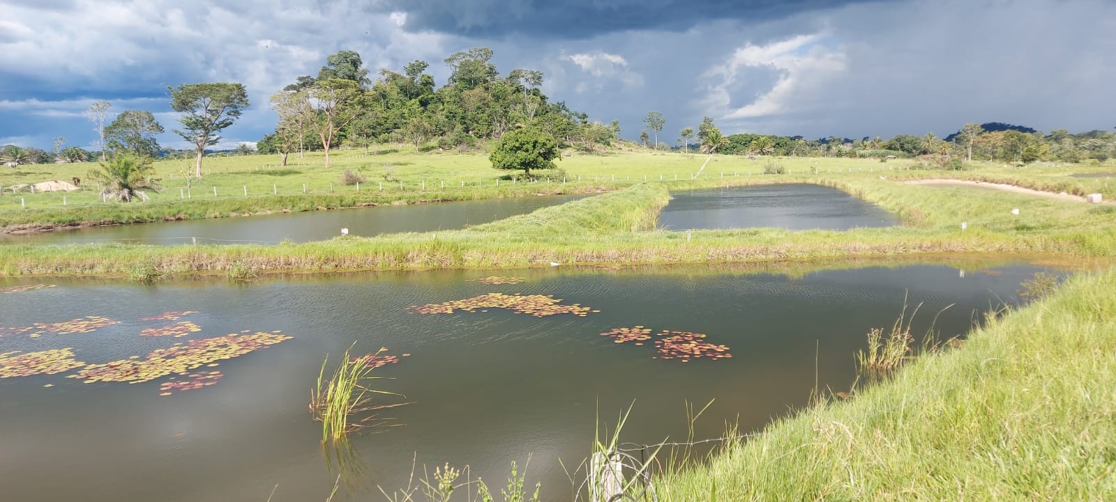 A imagem mostra tanques de criação de peixes na Agroindústria Pescados. 