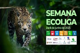 TRT-14 participa da Semana Ecoliga em alusão ao Mês do Meio Ambiente